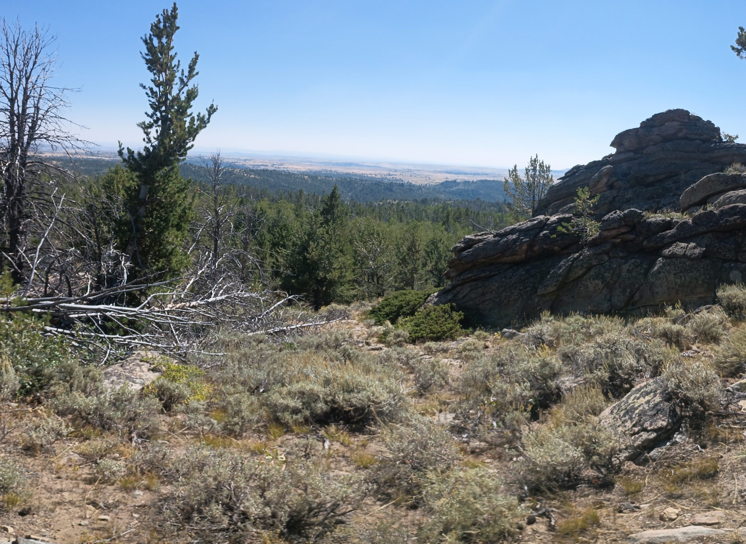 The Winds pt 6 – Down into Desert – Two People Walking